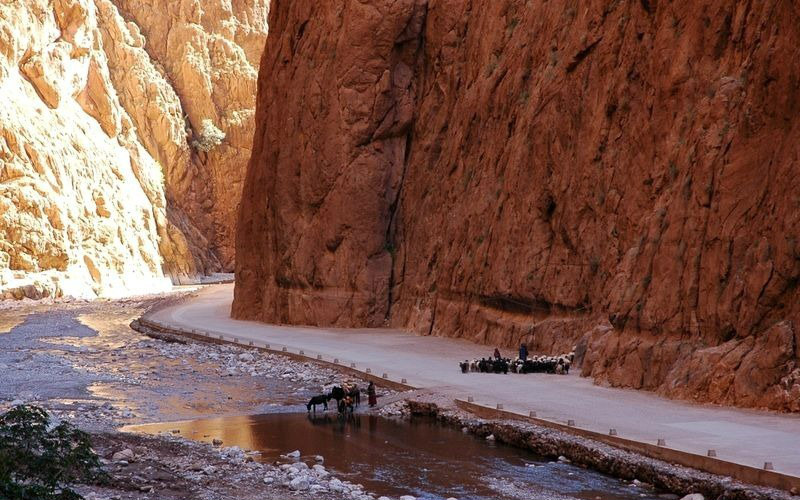 merzouga desert tour from fes