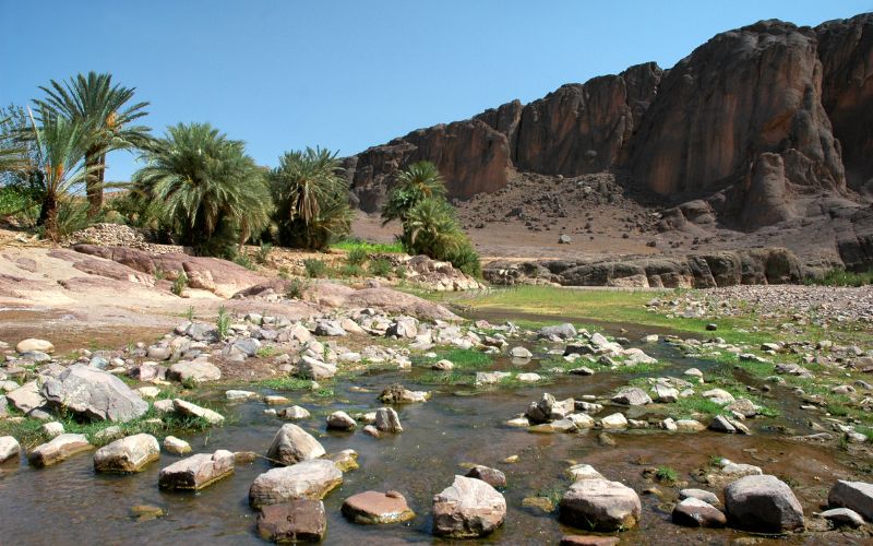 awesome sahara