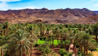 Draa Valley
