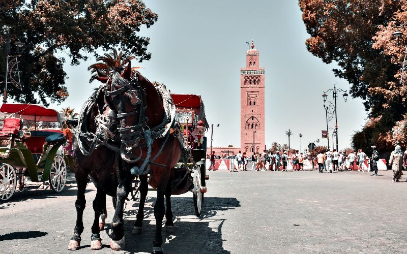 4 days desert tour from Marrakech to Merzouga