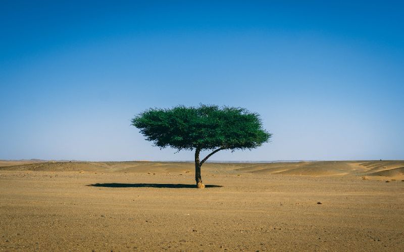 4 days desert tour from Marrakech to Merzouga