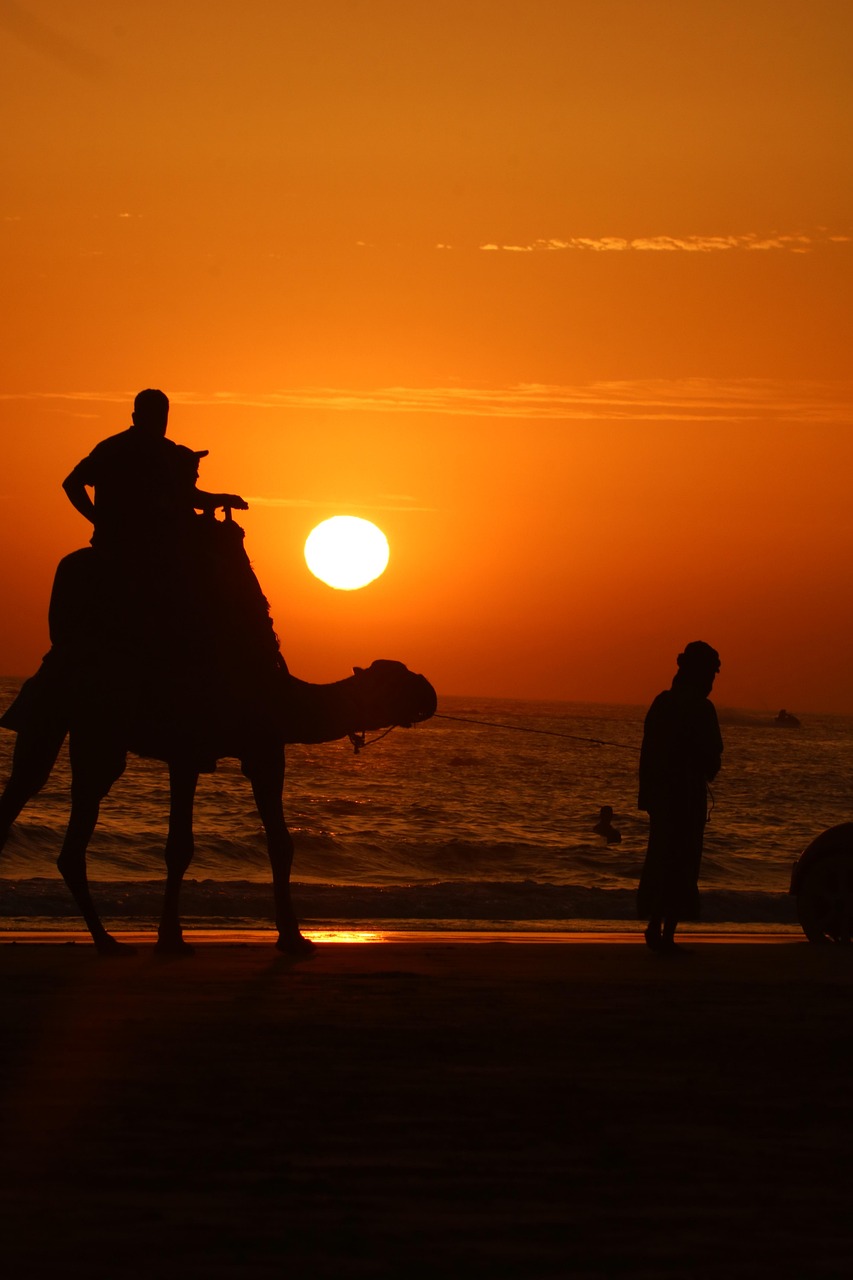 About Us - AUTHENTIC SAHARA TOURS